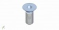 VITE SVASATA - ALLEN FLARED SCREW